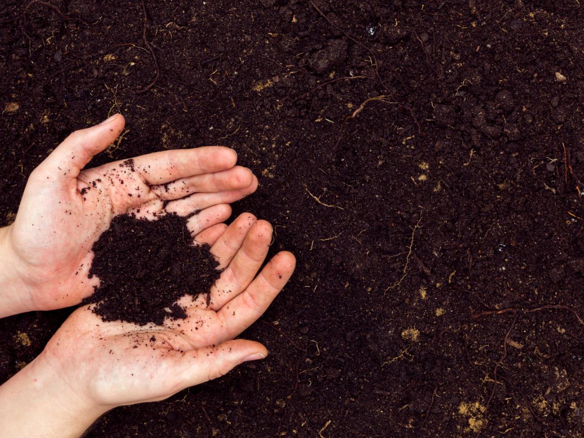 soil hands